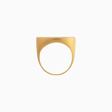 Hippocampus Signet Ring