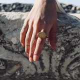 Hippocampus Signet Ring